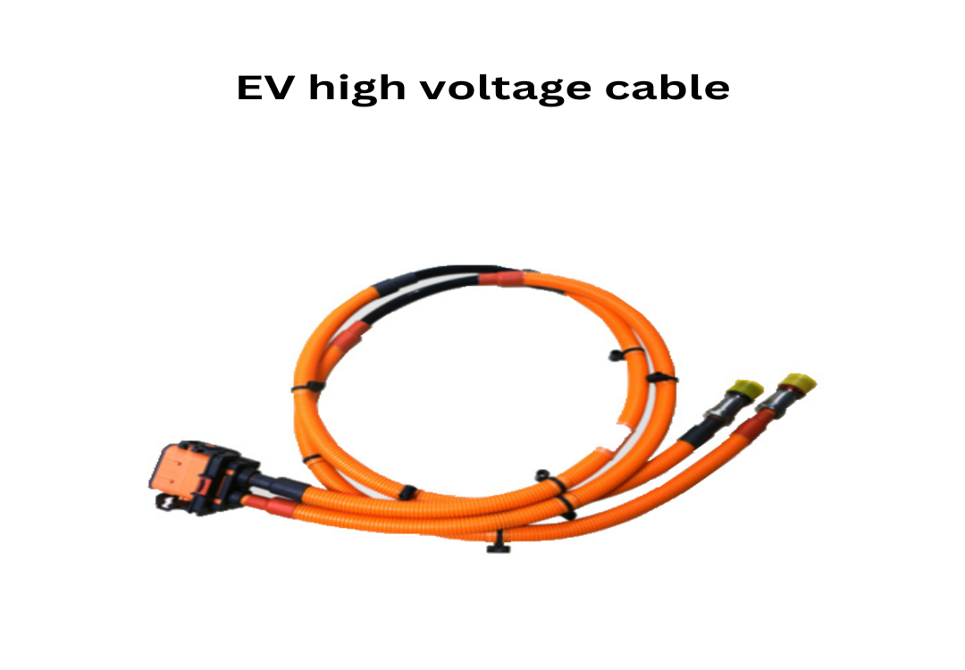 Electrical Integrity